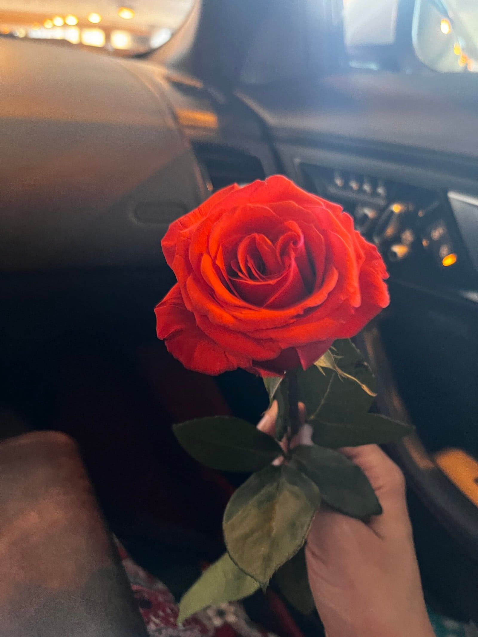 Love, in Bloom.